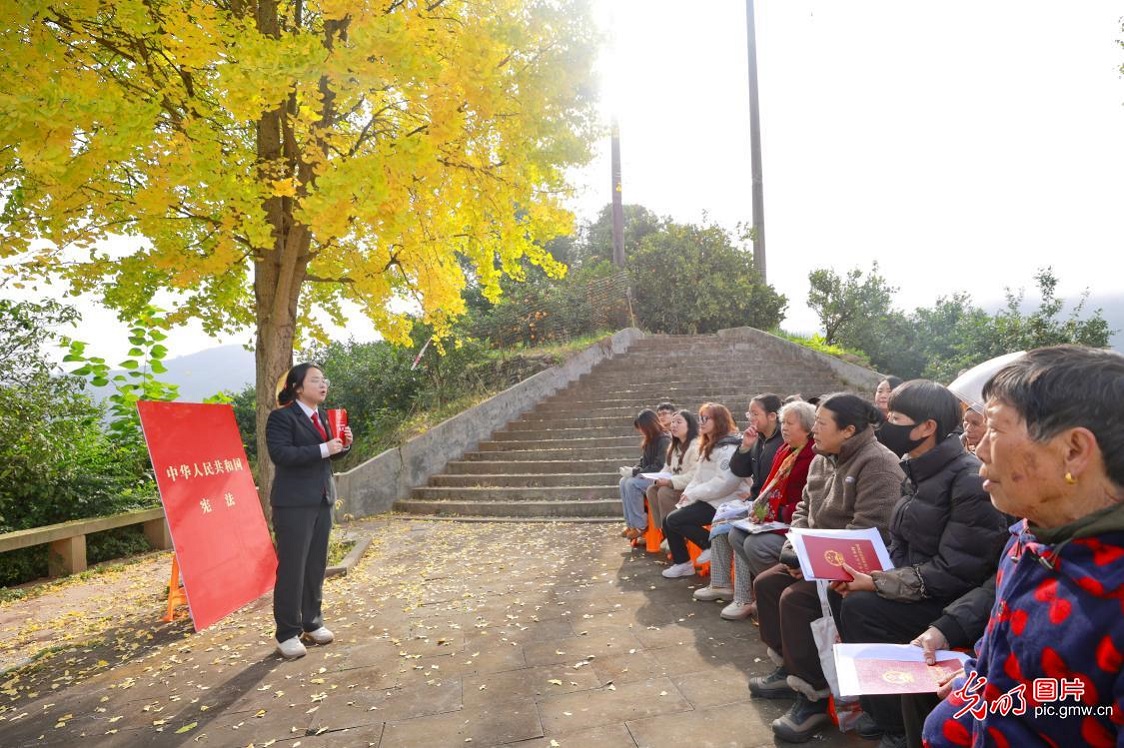 In pics: Nationwide legal education activities mark National Constitution Day