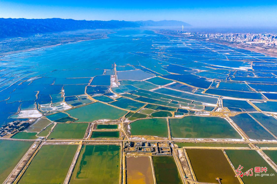 In pics: Colorful salt lake in N China's Shanxi