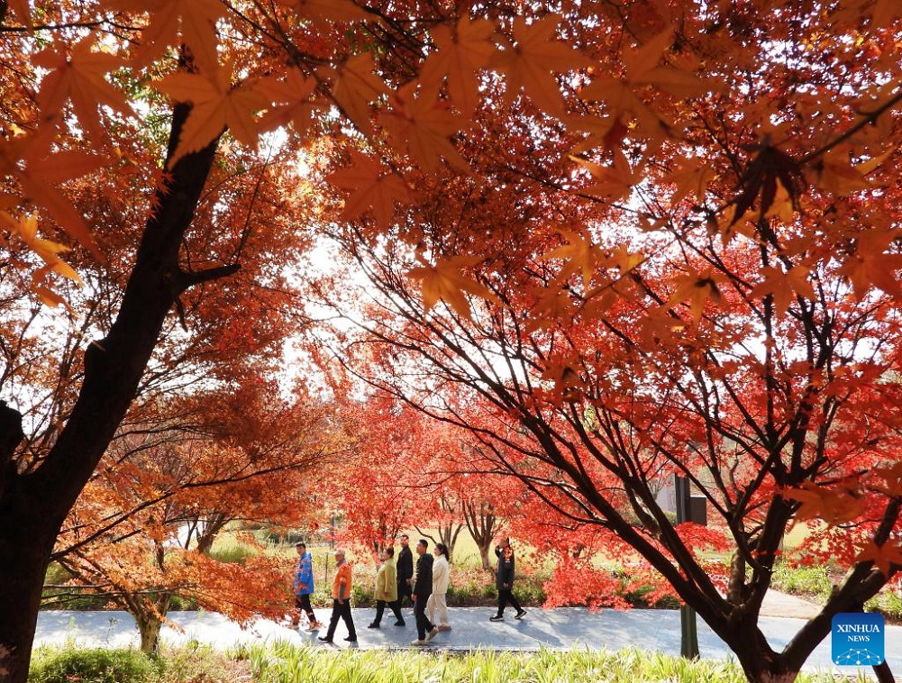 Winter scenery across China Winter scenery across China