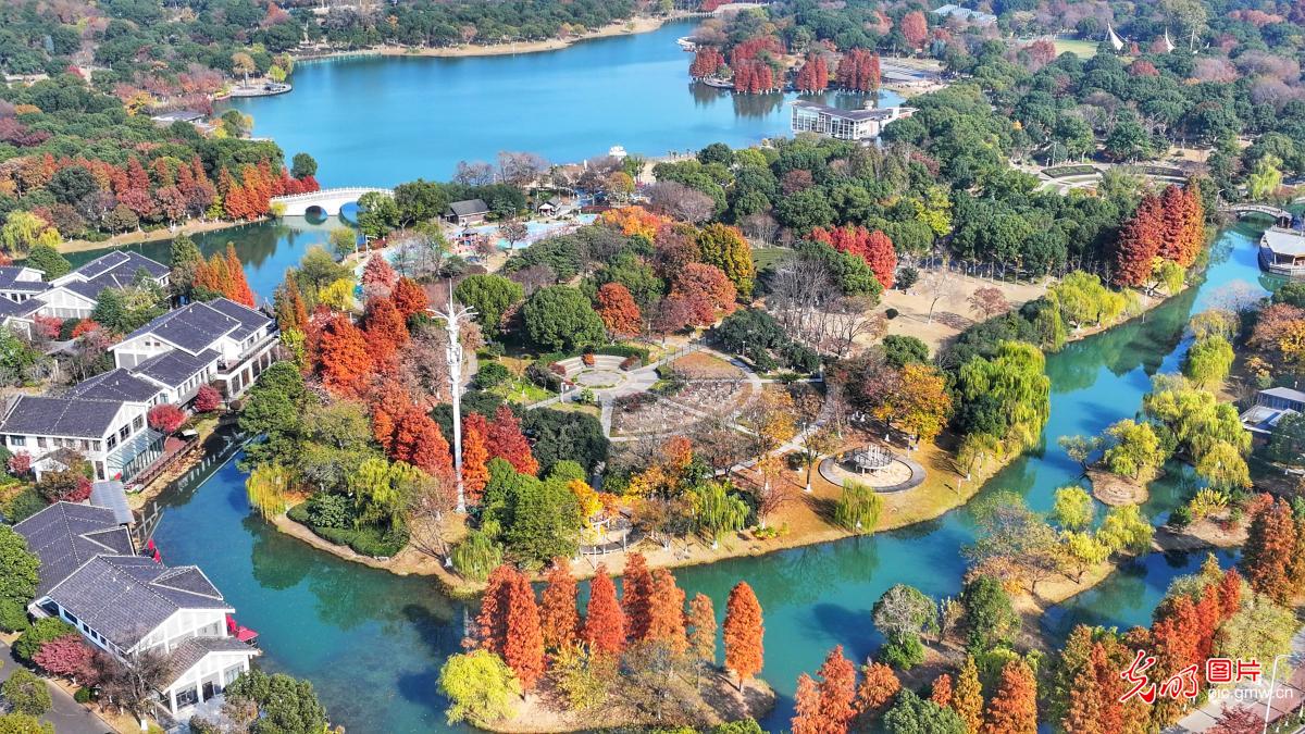 Picturesque winter scene at Liangfeng Ecological Park in E China's Jiangsu Picturesque winter scene at Liangfeng Ecological Park in E China's Jiangsu
