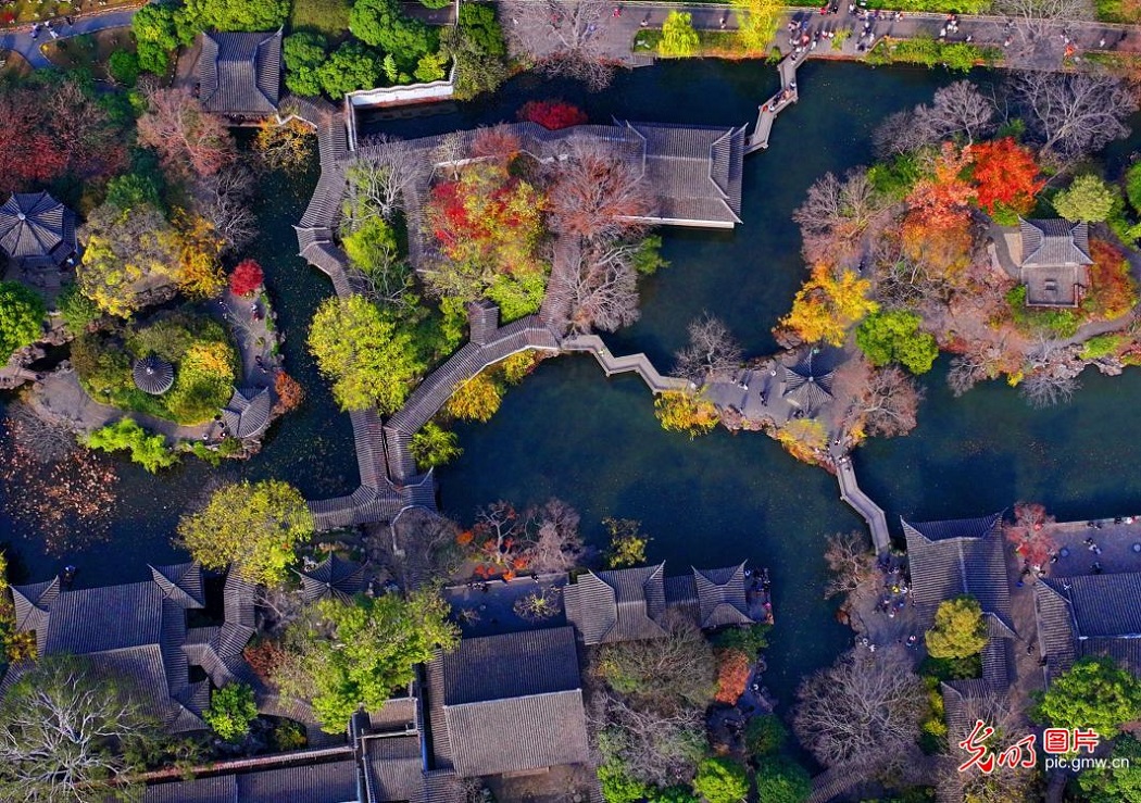 Early-winter palette transforms Suzhou's Humble Administrator's Garden in E China