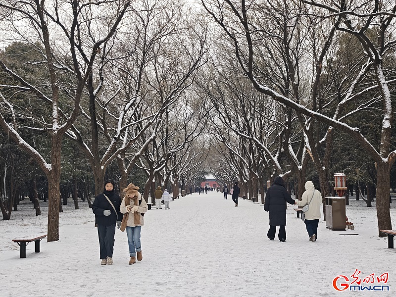 Snowfall brings serene winter beauty to the Temple of Heaven