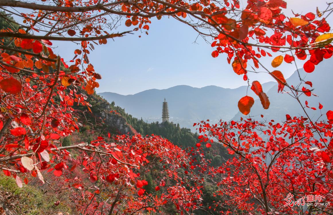 Autumn splendor in Wushan, China's Chongqing