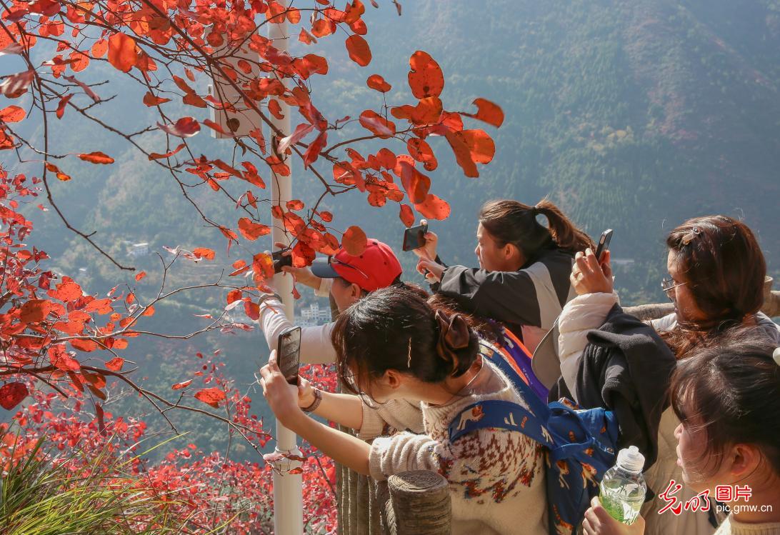 Autumn splendor in Wushan, China's Chongqing