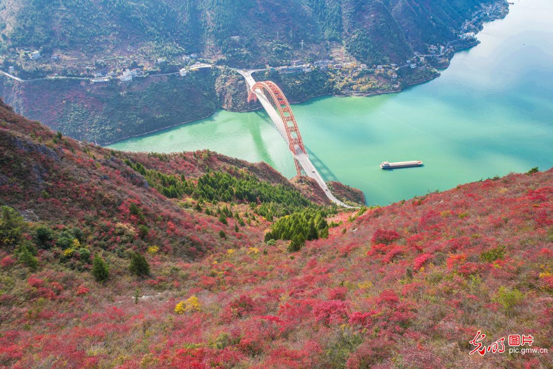 Autumn splendor in Wushan, China's Chongqing