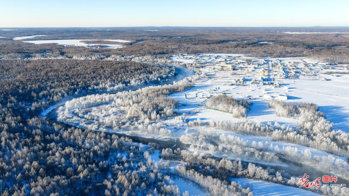 Rime scenery at Dapingtai , NE China's Heilongjiang Rime scenery at Dapingtai , NE China's Heilongjiang