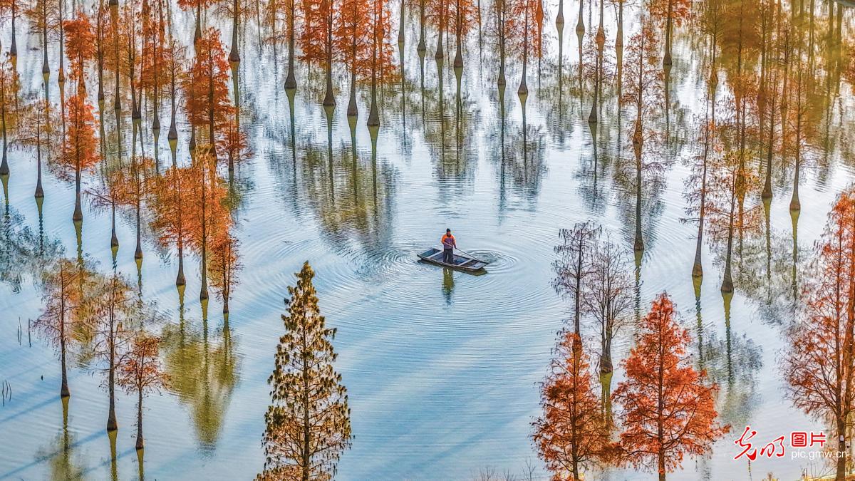 Farmers tend crab ponds in E China's Jiangsu