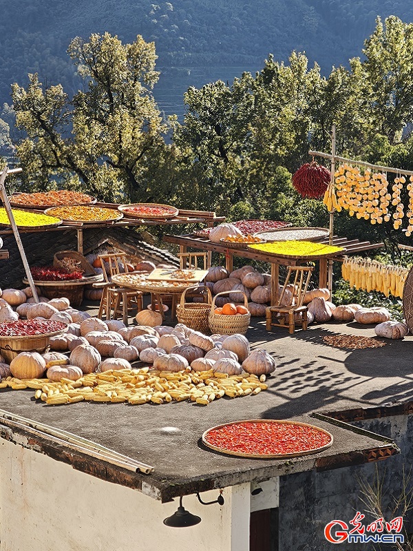 Autumn harvest colors brighten Huangling village