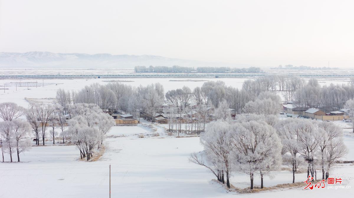 Rime ice creates winter wonderland in NW China's Gansu