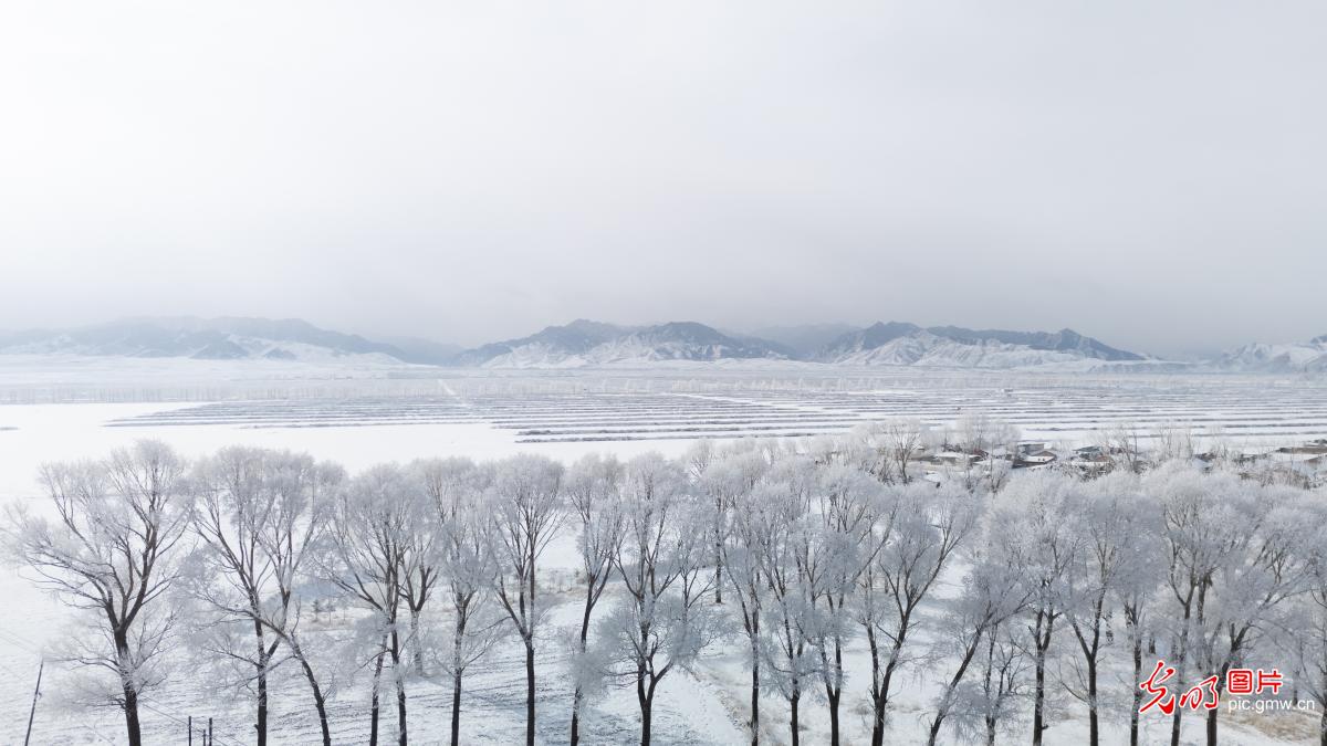 Rime ice creates winter wonderland in NW China's Gansu