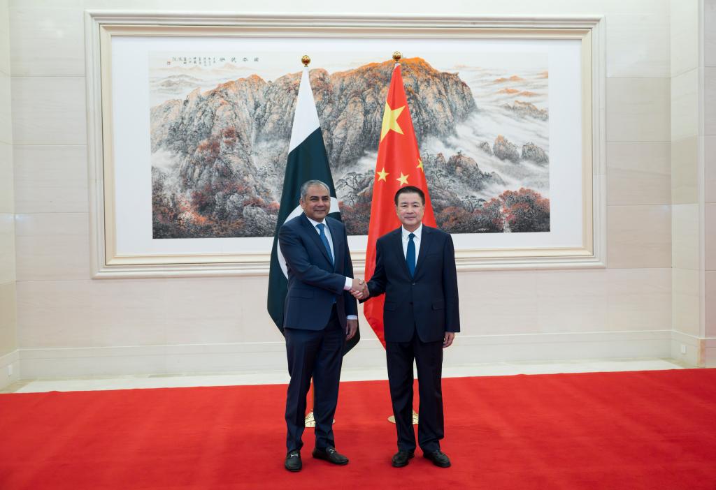 China's police chief meets with Pakistan's minister for interior, narcotics control