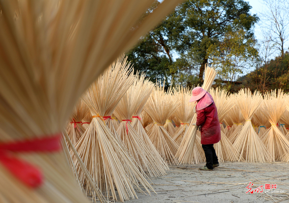 Bamboo processing in W China's Jiangxi