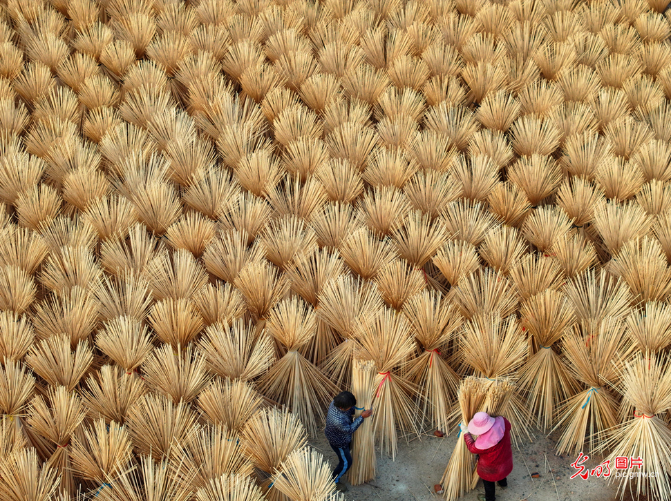 Bamboo processing in W China's Jiangxi