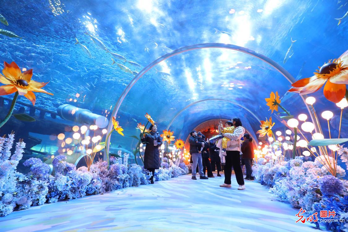 Visitors explore marine life during new year holiday in Chongqing Visitors explore marine life during new year holiday in Chongqing