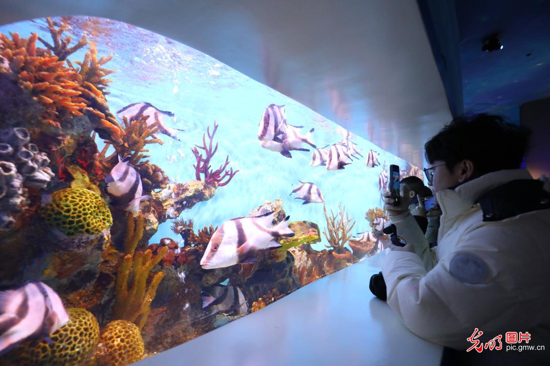 Visitors explore marine life during new year holiday in Chongqing Visitors explore marine life during new year holiday in Chongqing