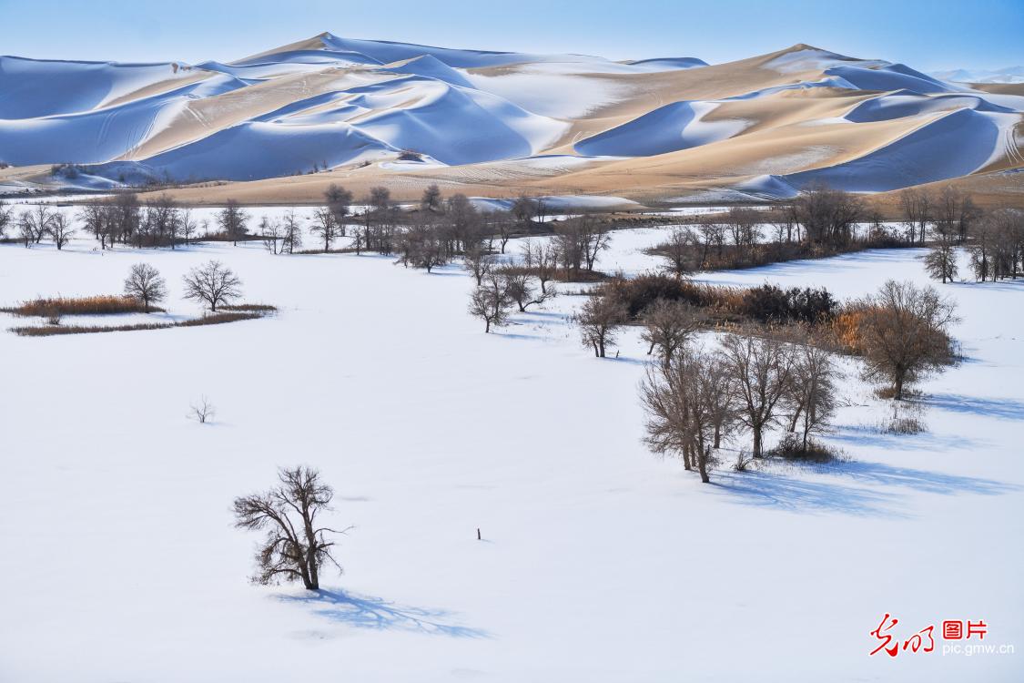 Snow scenery of Taklamakan Desert in Yuli County, NW China's Xinjiang