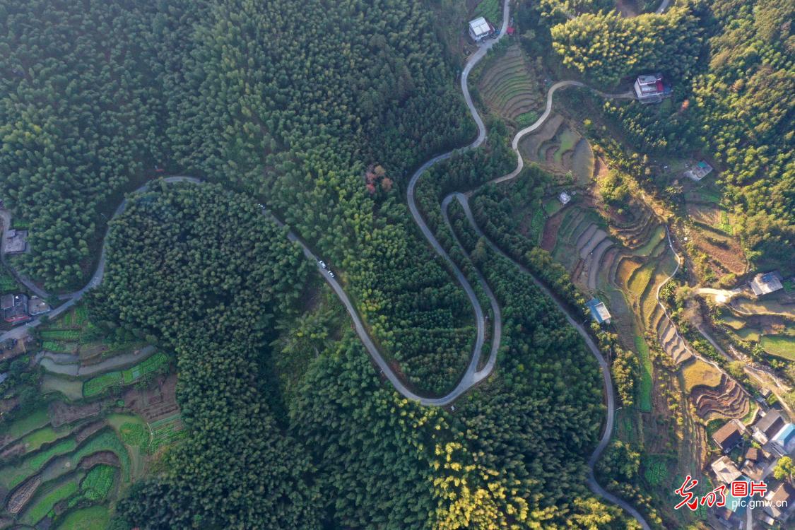 Morning mist drapes picturesque ecological countryside in S China's Guangxi