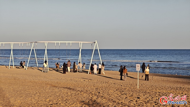 Seagulls grace the winter coast of Anaya