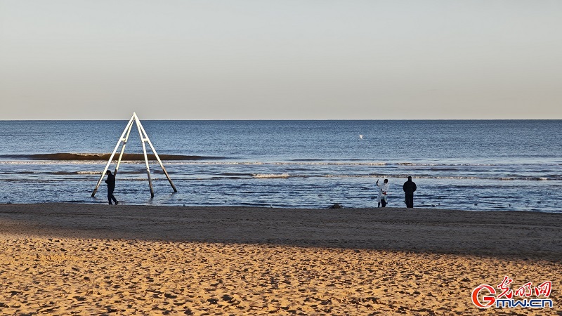 Seagulls grace the winter coast of Anaya