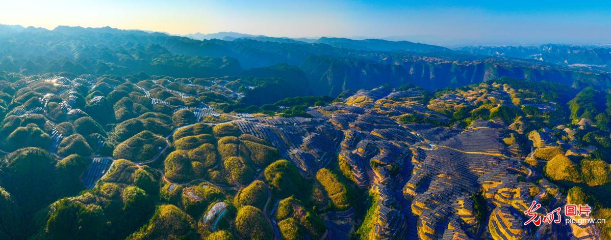 Solar farms in full swing in winter Guizhou