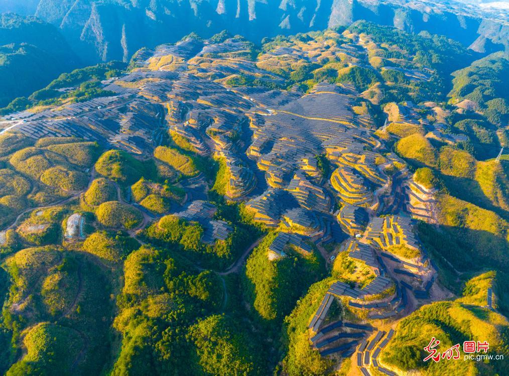 Solar farms in full swing in winter Guizhou