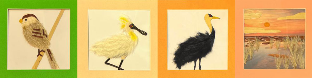 Women-led community innovation for wetland conservation at Chongming Dongtan in E China's Shanghai