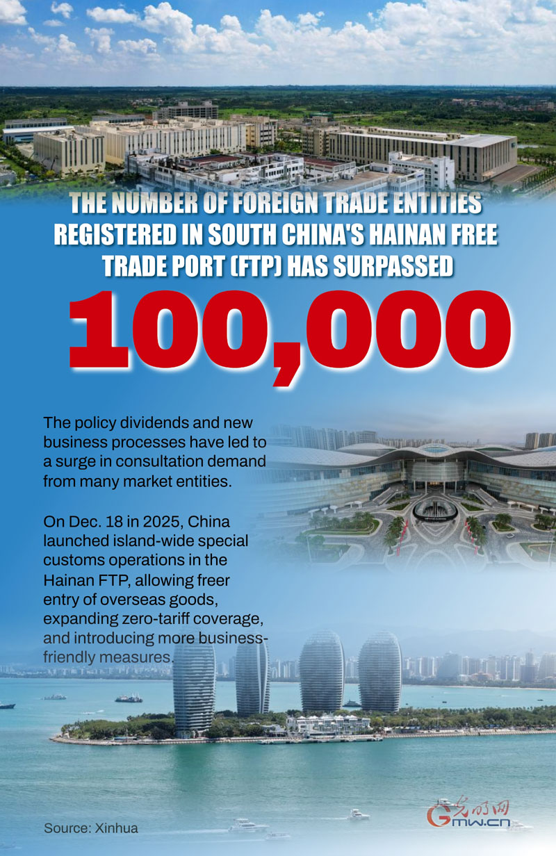 Poster: Registered foreign trade entities in Hainan FTP exceed 100,000