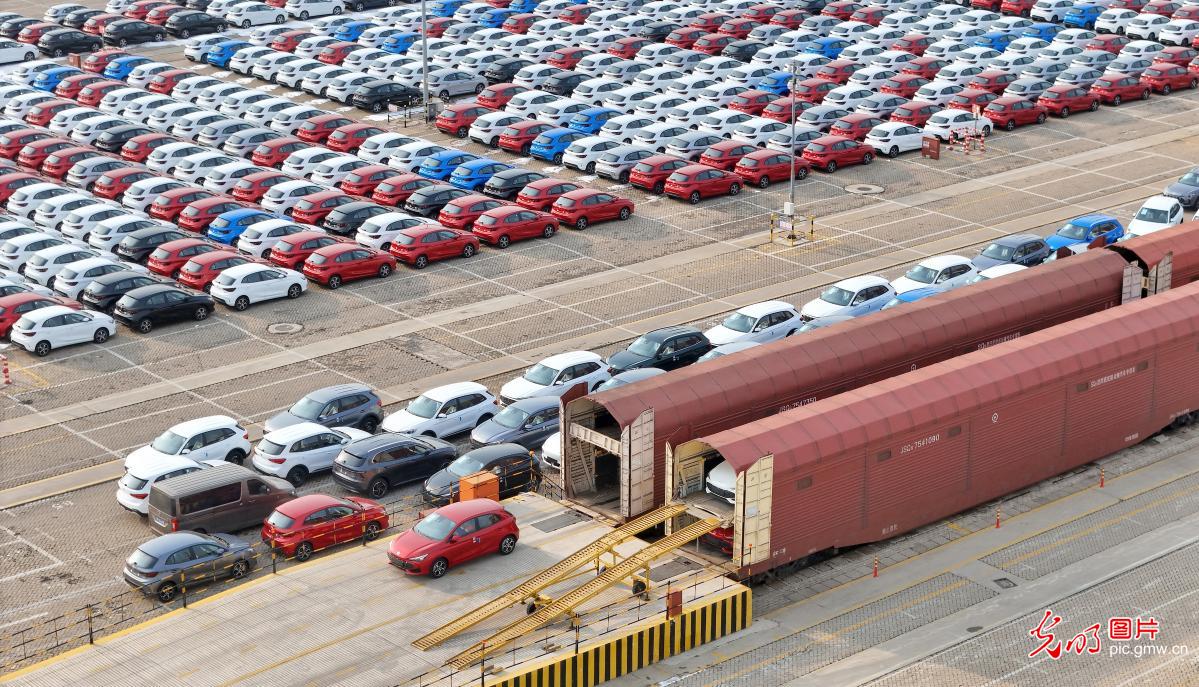 China's auto exports gather pace at Yantai Port