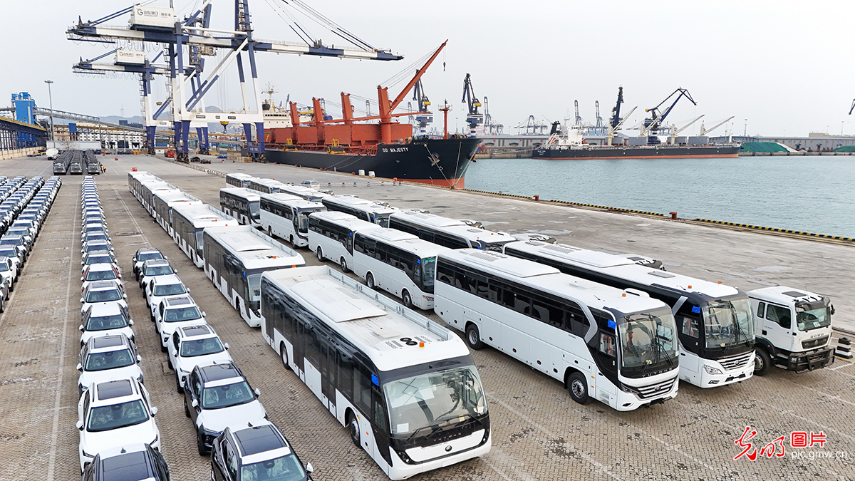 China's auto exports gather pace at Yantai Port