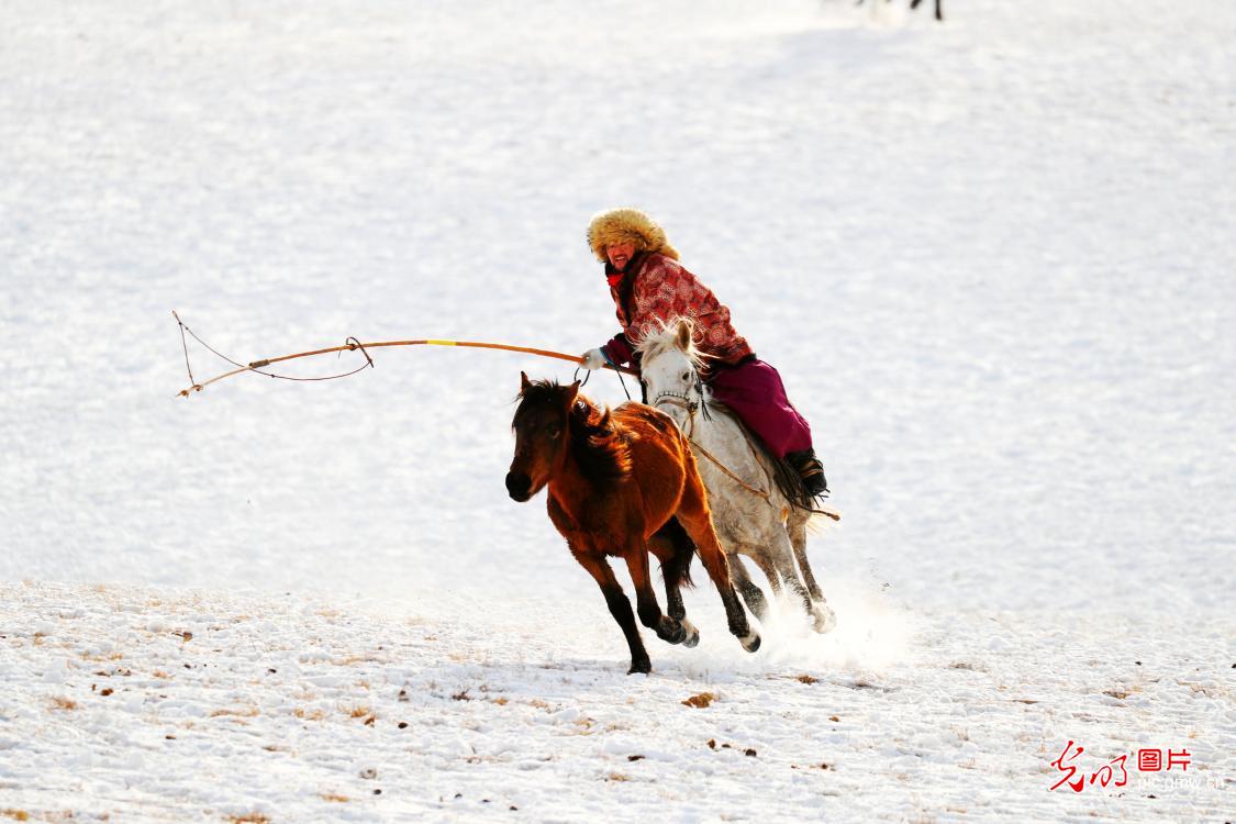 Lassoing heritage on snowy steppe Lassoing heritage on snowy steppe