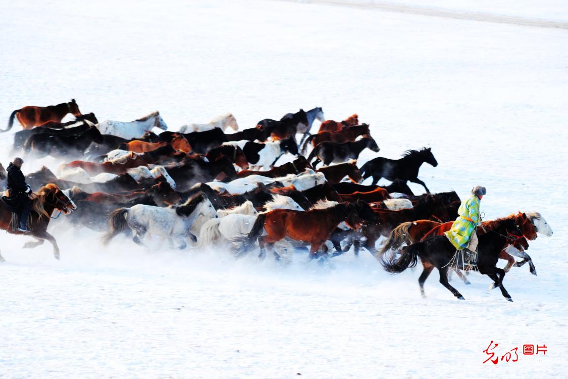Lassoing heritage on snowy steppe Lassoing heritage on snowy steppe
