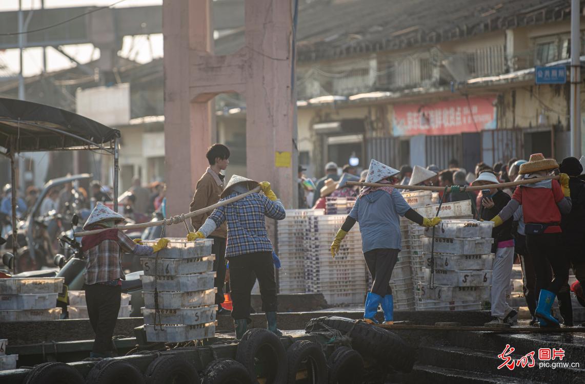 Fishing port buzzes ahead of Spring Festival in Hainan Fishing port buzzes ahead of Spring Festival in Hainan