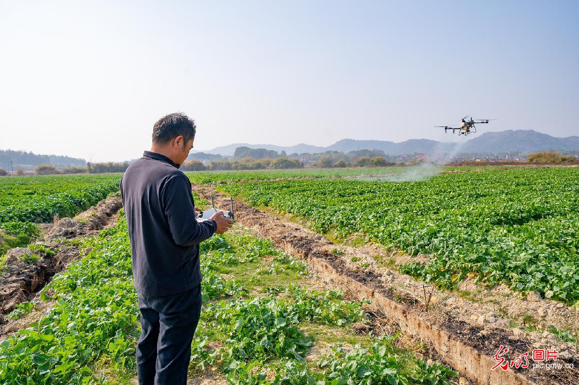 Technology empowers winter field management in E China's Jiangxi