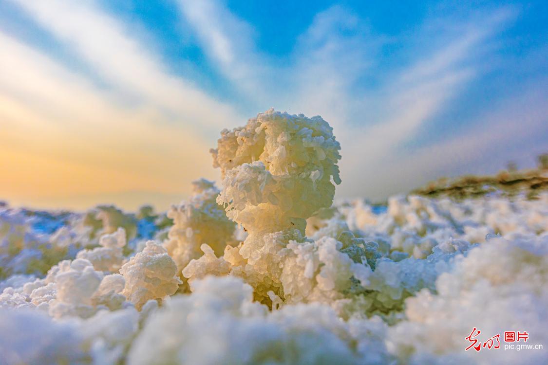 Salt flowers bloom at millenium-old salt lake in N China's Shanxi
