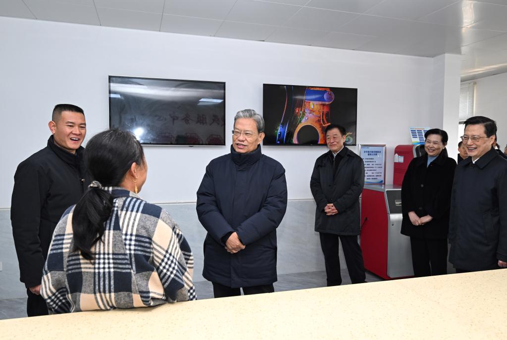 China's top legislator calls for advancing people's congress work in line with Party, state priorities