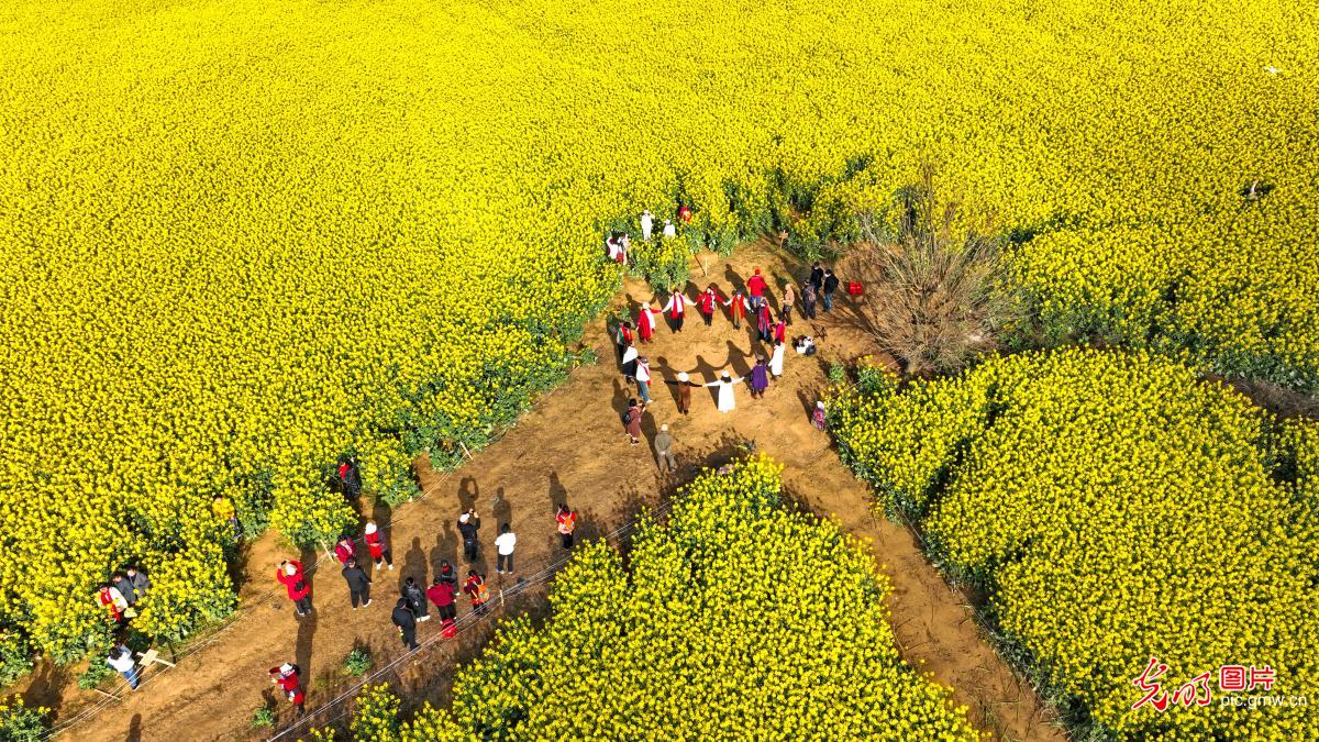 Rapeseed flowers boost rural tourism in SW China's Yunnan