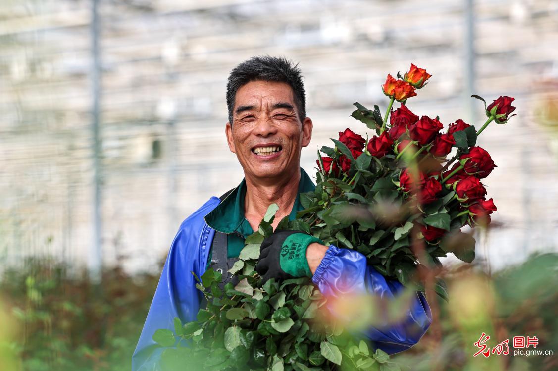 Spring Festival flower markets flourish across China