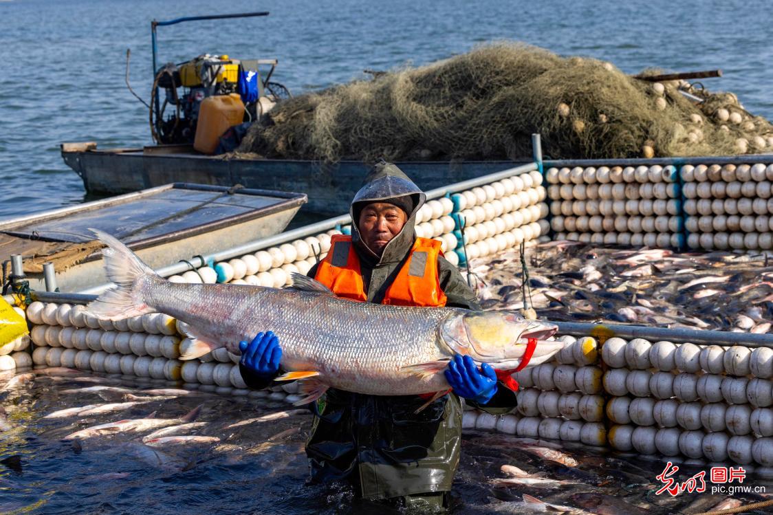 Winter fishing scenes showcase harvest and festive cheer across China
