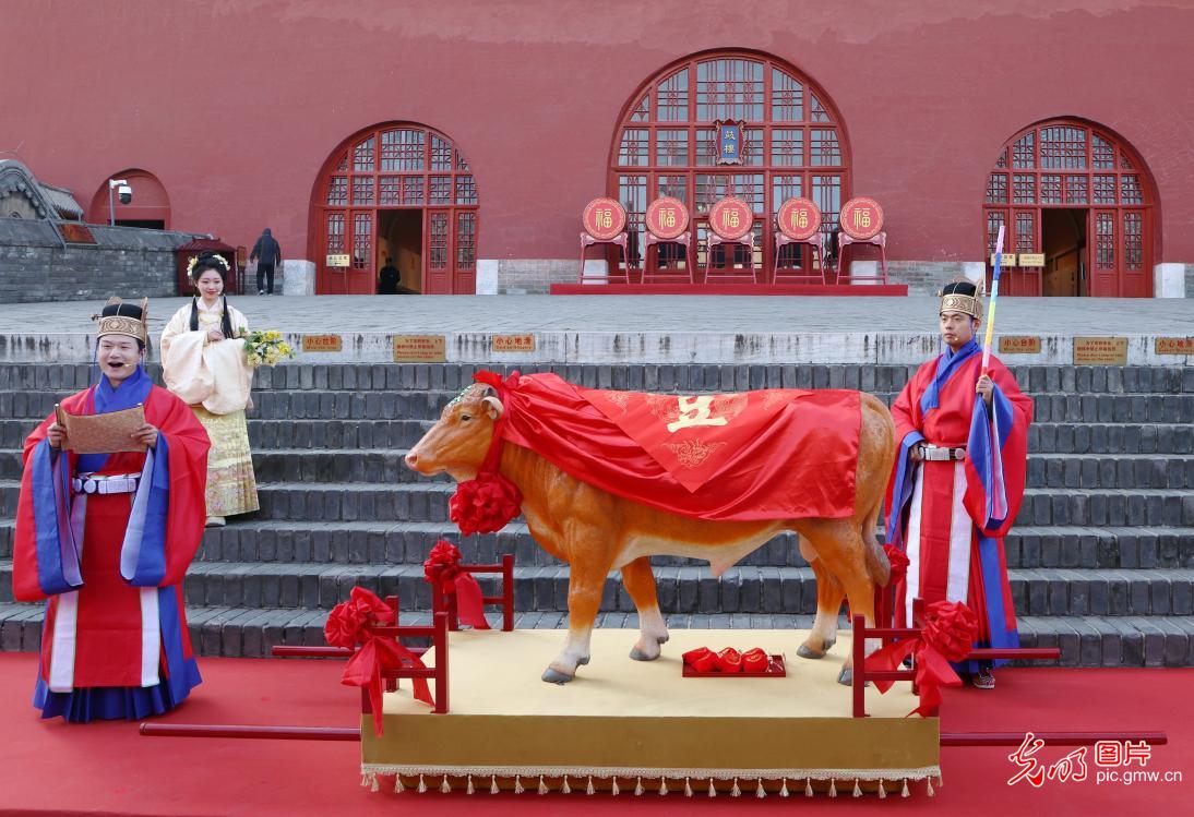 Beginning of Spring ushers in seasonal vitality across China