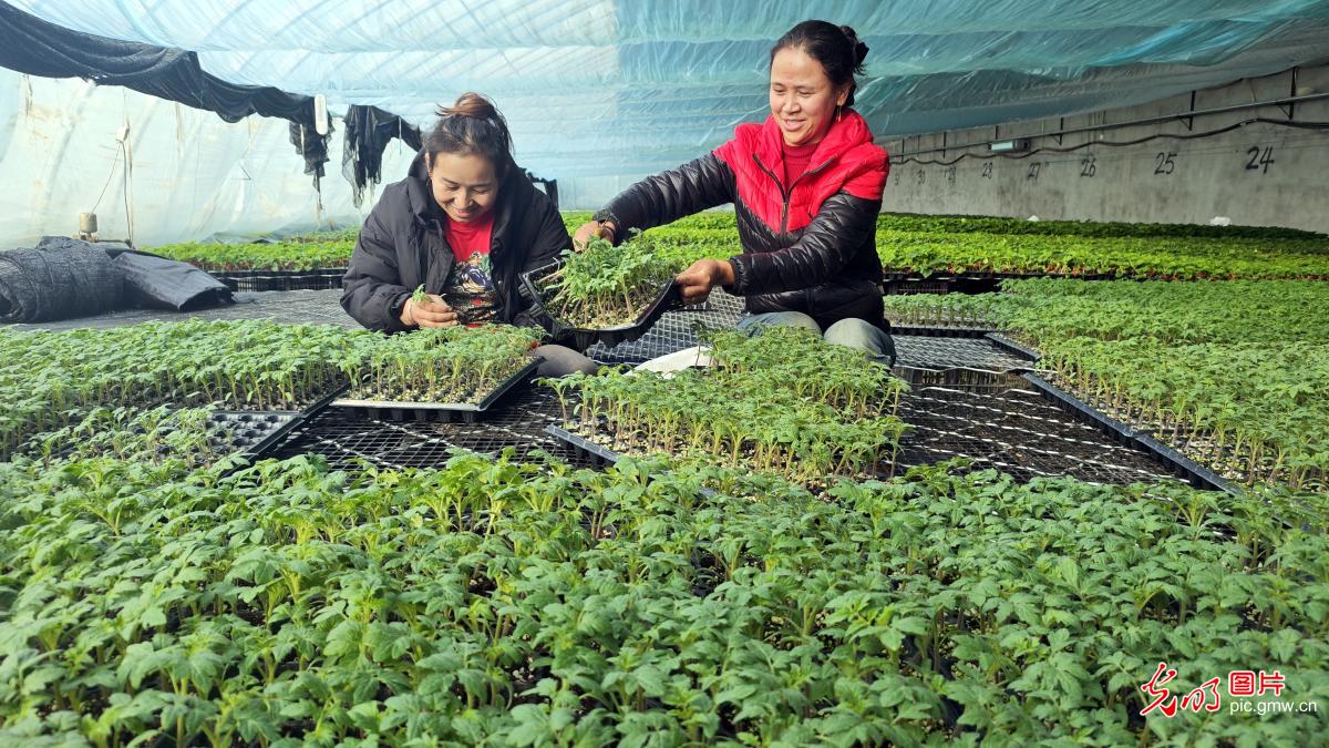 Beginning of Spring ushers in seasonal vitality across China