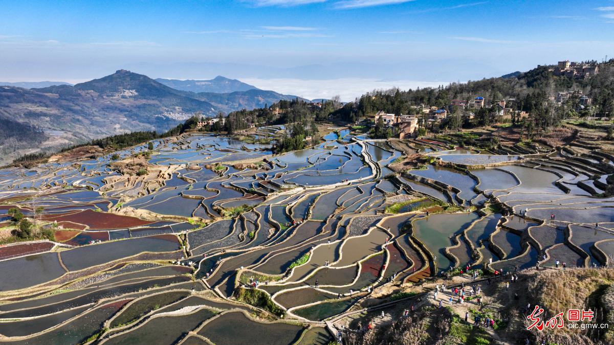 Hani Rice Terraces shimmer in water-filled season in SW China's Yunnan