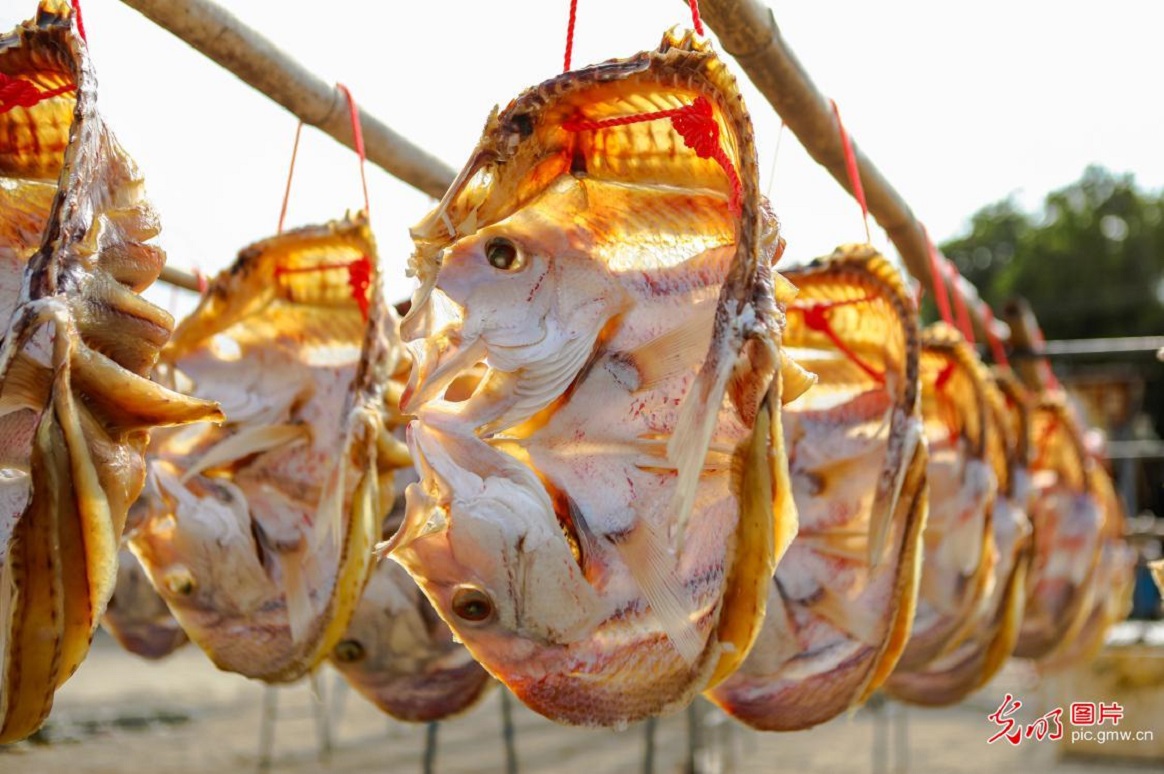 Fishermen prepare red dried fish for Spring Festival in S China's Hainan