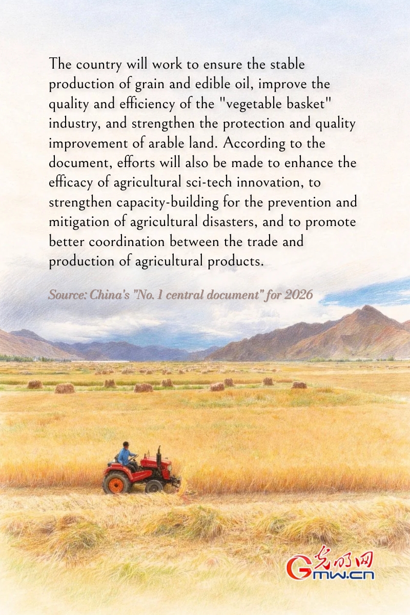 Posters: China outlines plans for agricultural modernization, rural revitalization