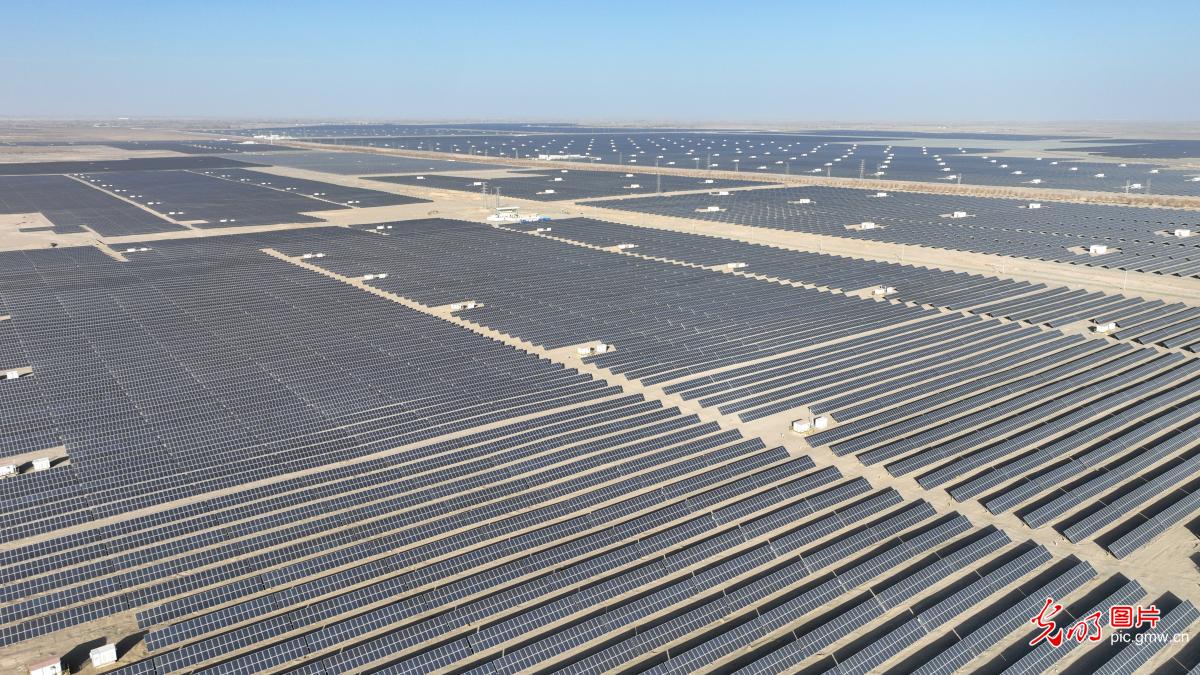 Rows of solar panels shine in NW China's Gansu