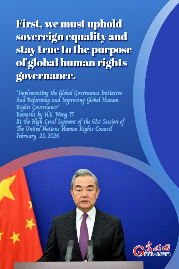 Posters: Implementing the Global Governance Initiative And Reforming and Improving Global Human Rights Governance