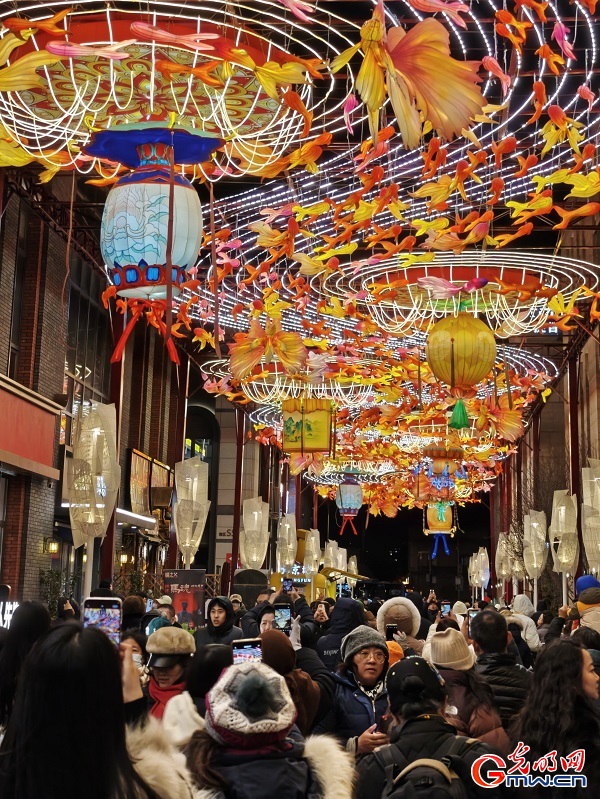 Lantern fair held in Beijing's Qianmen area