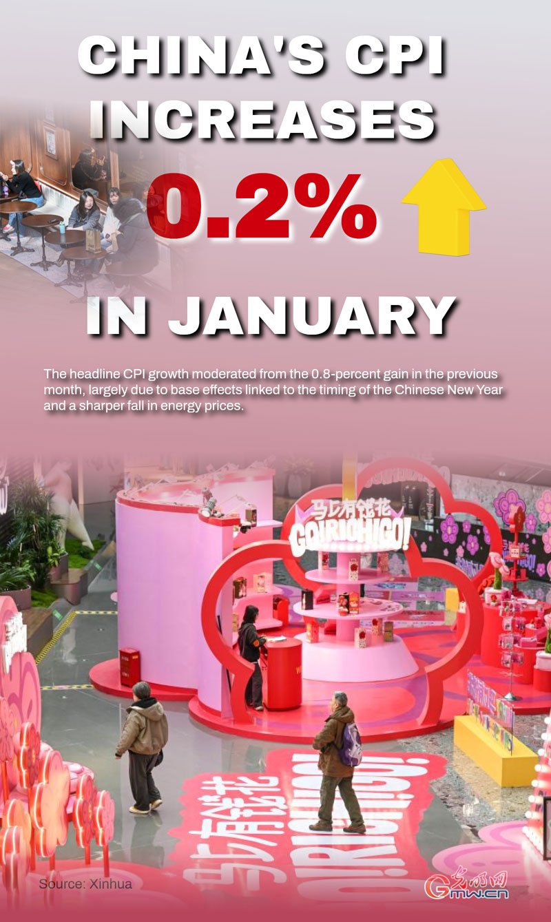 Poster: China's CPI increases 0.2% in January Poster: China's CPI increases 0.2% in January