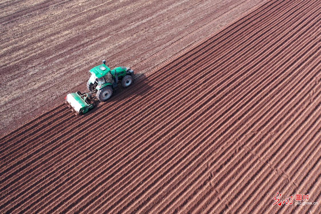 Farmers busy with spring farming across China