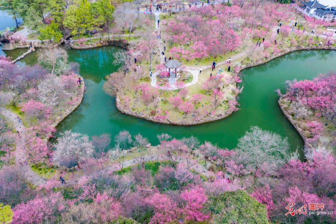 Scenery of Slender West Lake in E China's Yangzhou