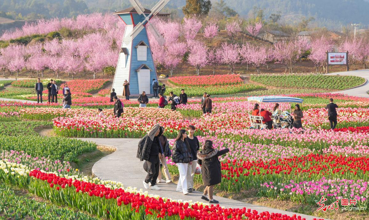 People enjoy spring outings and flower viewing across China